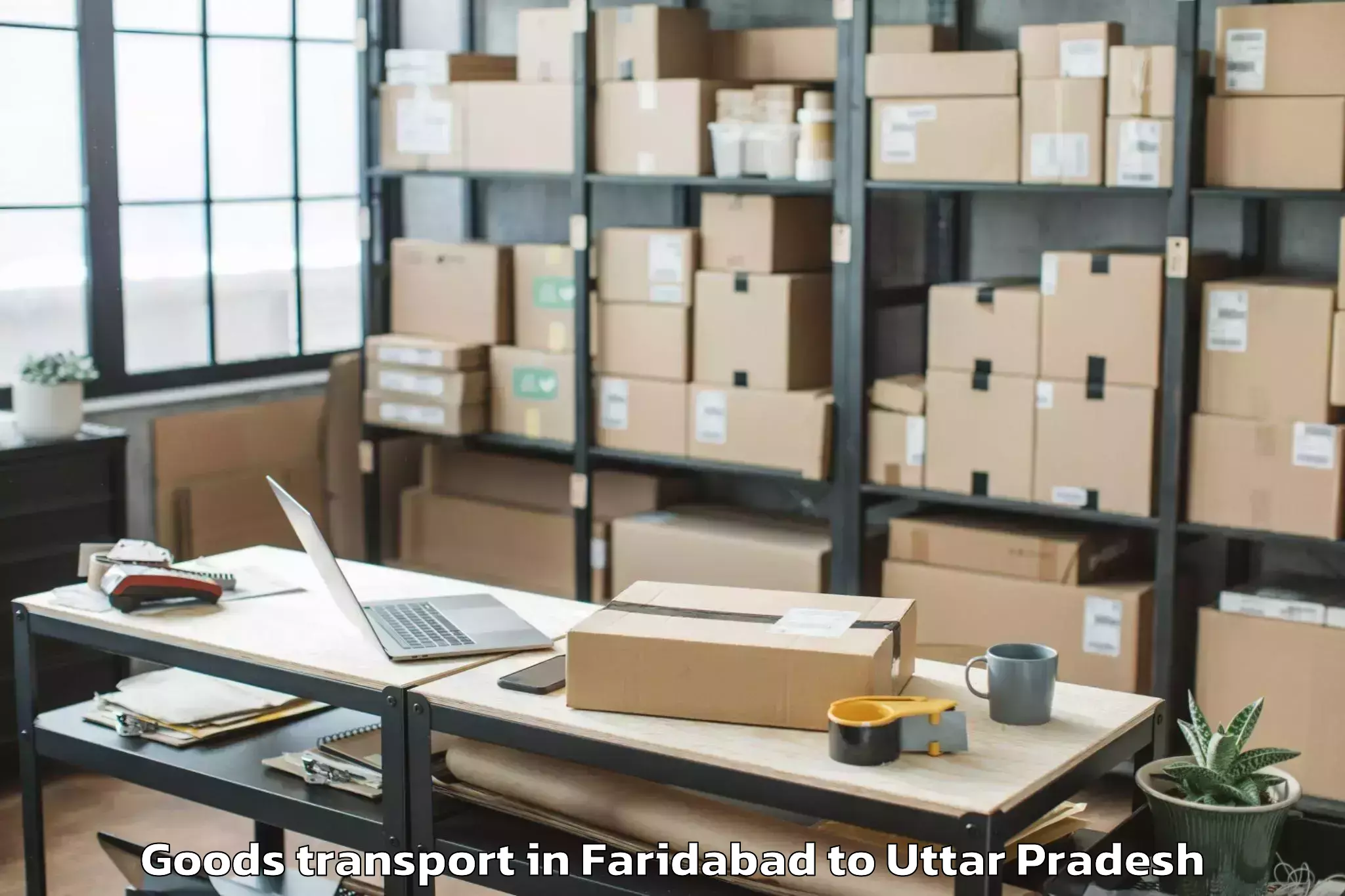 Expert Faridabad to Purwa Goods Transport